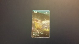 Brasil- Serie Fauna Brasileira Em Extincao-jacare Do Papo Amarelo-9/10-used Card - Krokodillen En Alligators