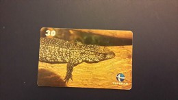 Brasil-tejo-used Card - Krokodile Und Alligatoren