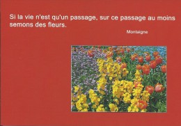 PARTERRE FLEURI TEMPORAIREMENT - Si La Vie N´est Qu´un Passage, Sur Ce Passage Au Moins Semons Des Fleurs. MONTAIGNE - Philosophie & Pensées