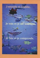 Après La Pluie - CONFUCIUS - Philosophy