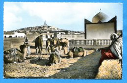 R078, Chardaïa, Ghardaïa, ,Caravane Près Du Marabout Du Cimetière, M'Zab,114,Mission Biblique, Circulée 1961 Sous Envelo - Ghardaia