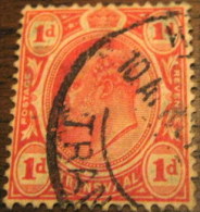 Transvaal 1902 King Edward VII 1d - Used - Transvaal (1870-1909)
