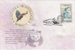 12425- POMARINE SKUA, BIRD, SPECIAL COVER, 1993, ROMANIA - Albatros