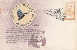 12426- BLACK TAILED GODWIT, BIRD, SPECIAL COVER, 1993, ROMANIA - Cigognes & échassiers