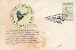 12428- NORTHERN LAPWING, BIRD, SPECIAL COVER, 1993, ROMANIA - Picotenazas & Aves Zancudas