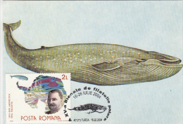 12490- BLUE WHALE, MAXIMUM CARD, 2004, ROMANIA - Baleines