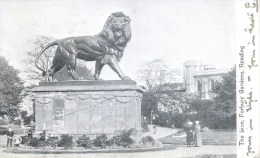 BERKS - READING - THE LION FORBURY GARDENS 1904 Be184 - Reading