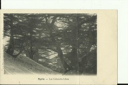 BEY89   --   SYRIE  --   LES CEDRES DU LIBAN - Lebanon