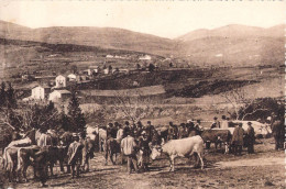 Delcampe - NOIRETABLE - ROUTE DE L'HERMITAGE VUE DU FOIRAIL - Noiretable