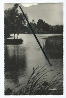 Delcampe - CPSM Abimée  - Peronne - Les Etangs De La Haute Somme - Peronne