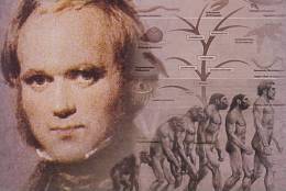 H-D- 6  ^^     Charles Darwin ,  Origin Of Species , ( Postal Stationery , Articles Postaux ) - Nature