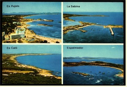 Formentera  -  Details Der Insel  -  Ansichtskarte Ca.1983    (4124) - Formentera