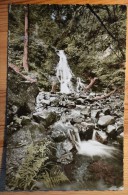 Kurort Todtmoos Im Südlichen Hochschwarzwald - Waserfälle - Plan Inhabituel / Ungewöhnlicher Blick - (n°3594) - Todtmoos