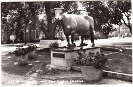 Leeuwarden - Monument Fries Rundvee Stamboek    - Friesland/ Nederland - KOEIEN - Leeuwarden