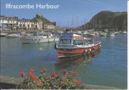 Ilfracombe Harbour - Ilfracombe