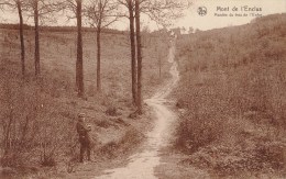 MONT DE L'ENCLUS - Montée Du Trou De L'Enfer - Kluisbergen