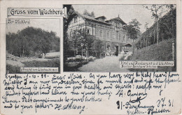 Litho AK Gruss Vom Wachberg Hotel Restaurant Gasthaus Bei Dresden Wachwitz Loschwitz Pillnitz Weisser Hirsch 1899 - Pillnitz