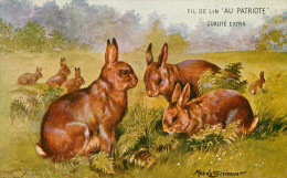 Animaux - Lapins - Lapin - Publicité Fil De Lin Au Patriote - Illustrateurs - Illustrateur Maude Scrivener - Autres & Non Classés