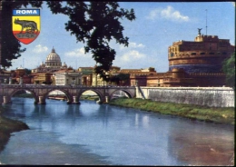 Roma - Ponte E Castel Sant'angelo - 241 - Formato Grande Viaggiata - Pontes