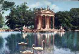 Roma - Villa Borghese - Il Laghetto - 204 - Formato Grande Viaggiata Mancante Di Affrancatura - Parques & Jardines