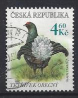 Czech-Republic  1998  Endangered Species; Black Grouse  (o)  Mi.179 - Gebruikt