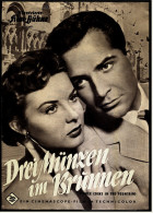 Illustrierte Film-Bühne  -  "Drei Münzen Im Brunnen" -  Mit Jean Peters  -  Filmprogramm Nr. 2491 Von Ca. 1954 - Revistas