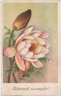 Pentecost Greeting Card - Peony - Flowers - MH - Circulated In Estonia 1944 - Pentecost