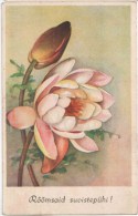 Pentecost Greeting Card - Peony - Flowers - MH - Circulated In Estonia 1944 - Pentecôte