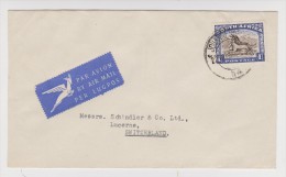 ENVELOPPE JOHANNESBURG VERS LUCERNE SWITZERLAND - PAR AVION BY AIR MAIL PER LUGPOS - 2 Scans - - Lettres & Documents