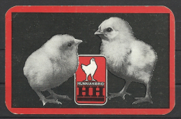 Hungary, Chicken, Hunniahibrid, 1980. - Kleinformat : 1971-80