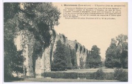 CPA Maintenon L'aqueduc Vue En Perspective - Maintenon