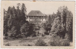 Chateauneuf-la-Foret..Chateau ,vue Sur Le Parc. - Chateauneuf La Foret