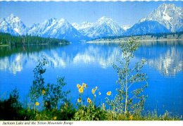 JACKSON LAKEAND TETON MOUNTAIN RANGE YELLOWSTONE WYOMING - Yellowstone