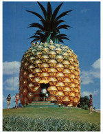 (66) Australia - QLD - Big Pineapple - Sunshine Coast