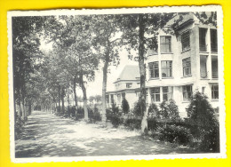 SANATORIUM ELISABETH : ZIJZICHT HOOFDGEBOUW Te SIJSELE DAMME - HOPITAL Ou CLINIQUE 1907 - Damme