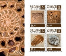 Solomon Islands. 2014  Fossils. (714a) - Fossilien