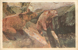 Animaux - Ours - Grand Format - 2 Scans - état - Bears