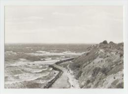 Kloster(Hiddensee)Blick Auf Die Hucke - Hiddensee