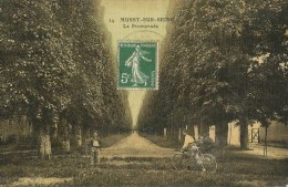 Mussy-sur-Seine  (Aube)  La Promenade - Mussy-sur-Seine