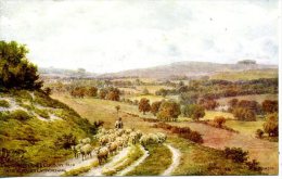 AR QUINTON - 1-61-00-27 - CHANCTONBURY RING AND CISSBURY FROM SALVINGTON MILL  - REPRO - Quinton, AR