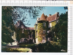 LA  TRIMOUILLE   -  Le  Château  De La  Rivière - La Trimouille