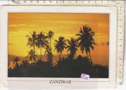 PO0314D# TANZANIA - PIANTAGIONI DI COCCO  VG 2001 - Tanzanie