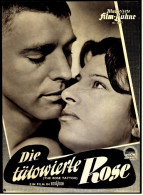 Illustrierte Film-Bühne  -  "Die Tätowierte Rose" -  Mit Burt Lancaster  -  Filmprogramm Nr. 3177 Von Ca. 1955 - Magazines