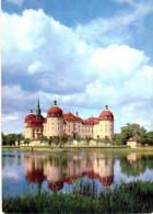 Moritzburg - Schloss Moritzburg 1 - Moritzburg