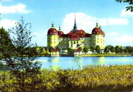 Moritzburg - Schloss Moritzburg 7 - Moritzburg