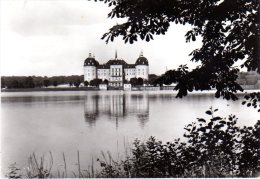 Moritzburg - S/w Schloss Moritzburg 11 - Moritzburg