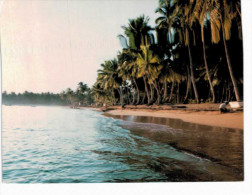 Amérique - République Dominicaine - Saint Domingue - Santo Domingo - Samana : Playa De Las Terrenas - Repubblica Dominicana
