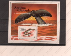 ANTIGUA BARBUDA Nº HB 71 - Baleines