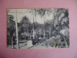 CP AFRIQUE -GUINEE N°1 CONAKRY JARDIN PUBLIC - ECRITE EN 1911 - Guinea