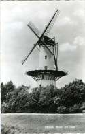 THOLEN (Zeeland) - Molen/moulin - Close-up Van Stellingmolen De Hoop In 1962. - Tholen